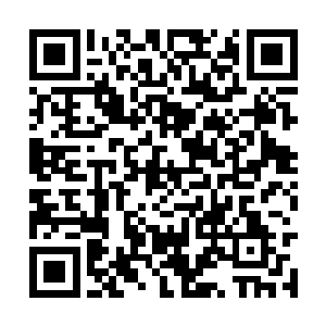 那些背后拥有太始境坐镇的势力势必不会放过我族二维码生成