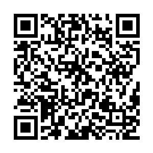 那些茶种原本只是雍州盘龙山上出产的优质茶叶二维码生成