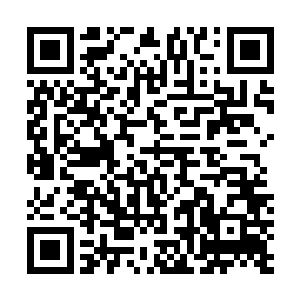 那些蠢蠢欲动的势力只怕会趁势联手推翻阿肆这个掌舵者二维码生成