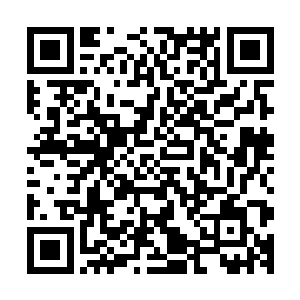 那些血腥冤魂原本是嚎叫咆哮的想吞吃流墨墨的鲜活血肉生命二维码生成