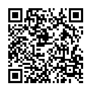 那些血腥而又残酷的清晰回忆一幕幕的在眼前展现二维码生成