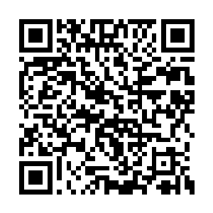 那些血骑士和其他援军便纷纷被楚旬和黑魔所杀二维码生成