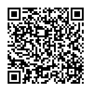 那些被他们串通的人又跑出去通风报信以此来邀功――这样的一群人二维码生成