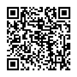 那些被他洗脑的家伙对大祝福的效果居然变得无比确定起来二维码生成