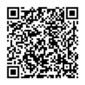 那些被你治疗过的人那些跟着你在欧洲游行的人那些有血有肉的华夏人二维码生成