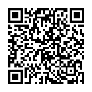 那些被击散的刀芒之气竟然被金光笼罩一点点的吞噬炼化二维码生成
