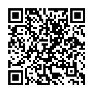 那些被取胆的活熊在人类的铁窗内绝望含泪凝视着参观者的照片二维码生成