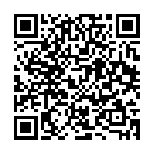 那些被夏天丹田吞噬的力量直接回到了夏天的手中二维码生成