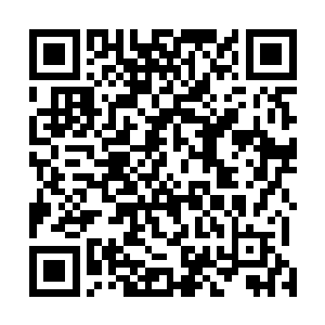 那些被我踩在脚下的生灵有着怎样的道德观念和理性标准二维码生成