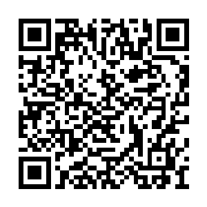 那些被推倒拔离的残垣断壁也迅速被腐蚀成黑色二维码生成