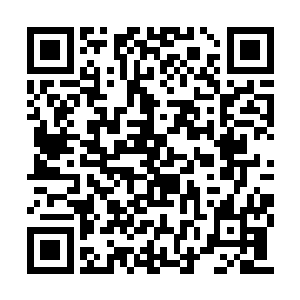 那些被杀之人要么就是不死心的询问雇主的身份二维码生成