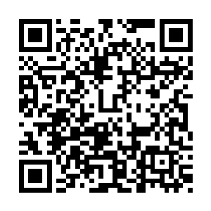 那些被杀掉的仙人其实也不过是各个势力的炮灰二维码生成