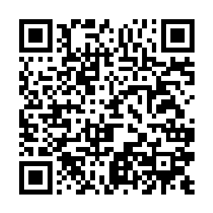 那些被杀死的民夫的鲜血开始汩汩的流淌汇聚了起来二维码生成
