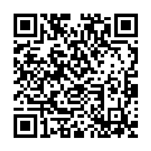 那些被海族吸引了目光的修仙者有不少人的目光落在他们身上二维码生成