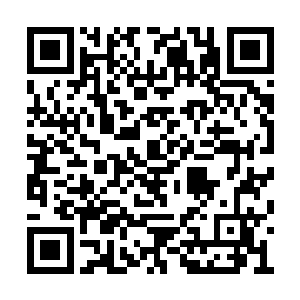 那些被遴选剩下的短篇是万万不能拿出来示人的二维码生成