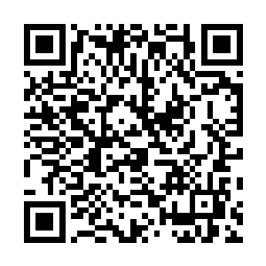 那些西夏人的尸体在很短的时间里就回到了使节团的手中二维码生成