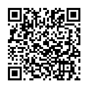 那些觉醒者肯定给他使用了一些系统里的药物来强化身体二维码生成