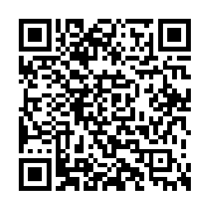 那些讨厌的海鸟好像专门喜欢往洪涛脑袋上拉屎二维码生成