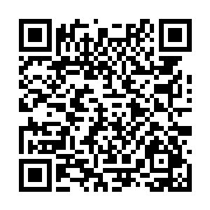 那些评委的心思都还留在他得到威尼斯影帝的时候二维码生成