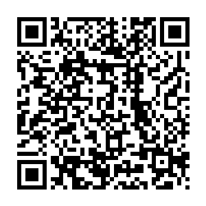 那些豪门大族只要拿出一份和国外的代理机构和商团签署的相关协议二维码生成