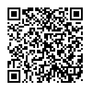那些赶来排队的法国人或者其它国家的人不知道秦洛站出来是什么意思二维码生成