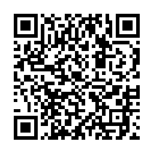 那些跟着钟浩天过来的人才全都猛然间的回过了神来二维码生成