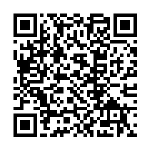 那些跟随你的战友因为你的选择只能一起葬送在此处二维码生成