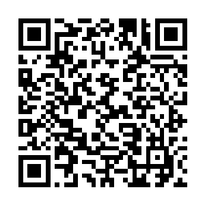 那些身为夏侯惇亲密心腹的黑獬豸将士更是忍耐不住二维码生成