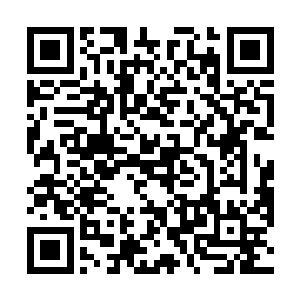 那些还不曾成为武者的普通人试图逃离这个可怕的世界二维码生成