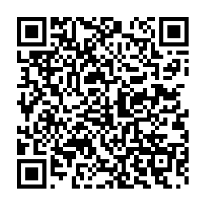 那些还在主神世界里逍遥的小蝼蚁们又岂会知道他们为整个世界的付出二维码生成