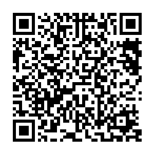 那些还在犹豫的人一看这情况一咬牙连东西都没有回去收拾直接就跟着跑了过来二维码生成
