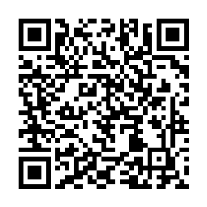 那些追赶我们的仙人疑惑地在我们消失的区域查看着二维码生成