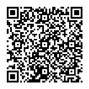 那些追逐着苏凡到这里的百来号人连惨嚎都来不及发出就已经享受了一次万箭穿身的痛苦二维码生成