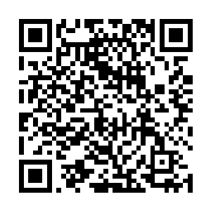 那些通天榜排名靠后的全力一击也不见得能够将其粉碎二维码生成