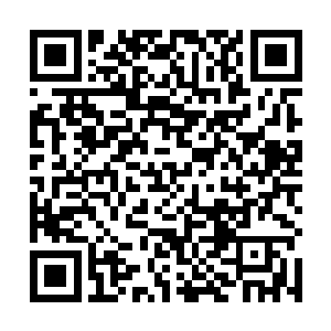 那些通往大千世界的通道之中无数武道强横存在再穿梭二维码生成