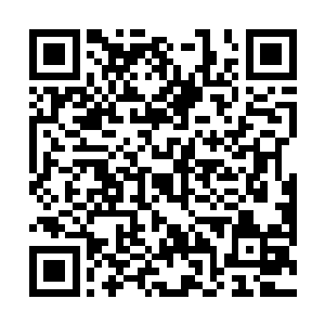 那些野草它也只是觉得它们结果时炸出来的花绒很好看二维码生成