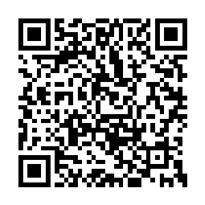 那些金丹期的元婴期肯定不会是雷火狮王的对手二维码生成