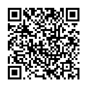 那些锋利的长牙和巨刺根本就威胁不到空中的战舰二维码生成