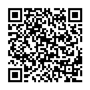 那些锥心刺骨的痛随着安然的离开全部都融入了骨血二维码生成