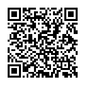 那些闯过试练塔三十层的哪个不得是三十来岁的二维码生成