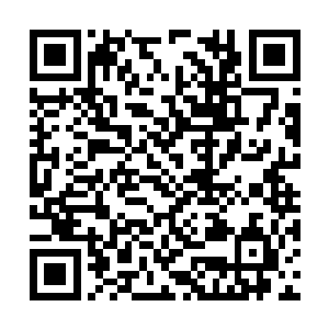 那些阅历丰富的奴隶主们没能在他身上看出什么来二维码生成