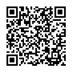 那些阵亡的自然神系战士的灵魂几乎都被接引了回去二维码生成
