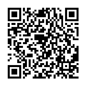那些隐藏的七品墨化者很快就会暴露出行踪也说不定二维码生成