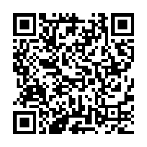 那些靠岸的妖船中飞下的各族大部分都被青璃妖们拒绝入内二维码生成
