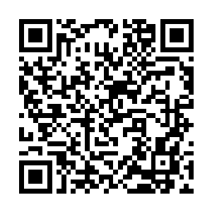 那些顶级的天才地宝甚至还不如这些药材对邪尊有用二维码生成