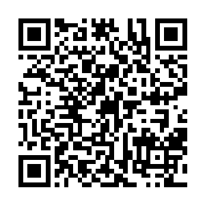 那些领导们也在为高林错失了这么好的一个机会感到惋惜二维码生成