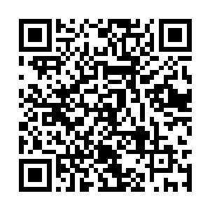 那些领导哪个不是用一些亲戚的名义开办一些公司二维码生成