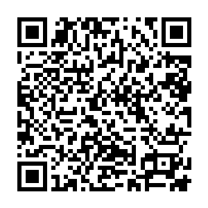 那些风烛残年的老人或许想起了儿时曾经在山努亚的褶皱和沟壑中跳来跳去二维码生成