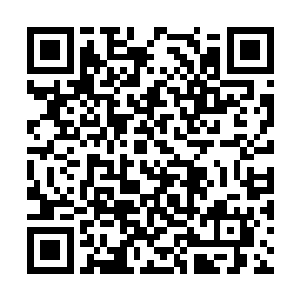 那些飞射向比试台的身影全部都爆发了各自的战力二维码生成