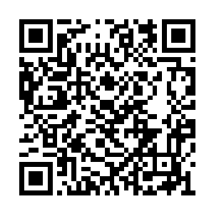 那些魔兽难道是发现了我们队伍的实力太过强大二维码生成